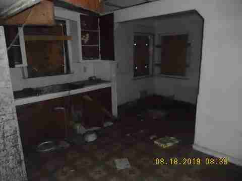 19585 Annott (10)_m.jpg